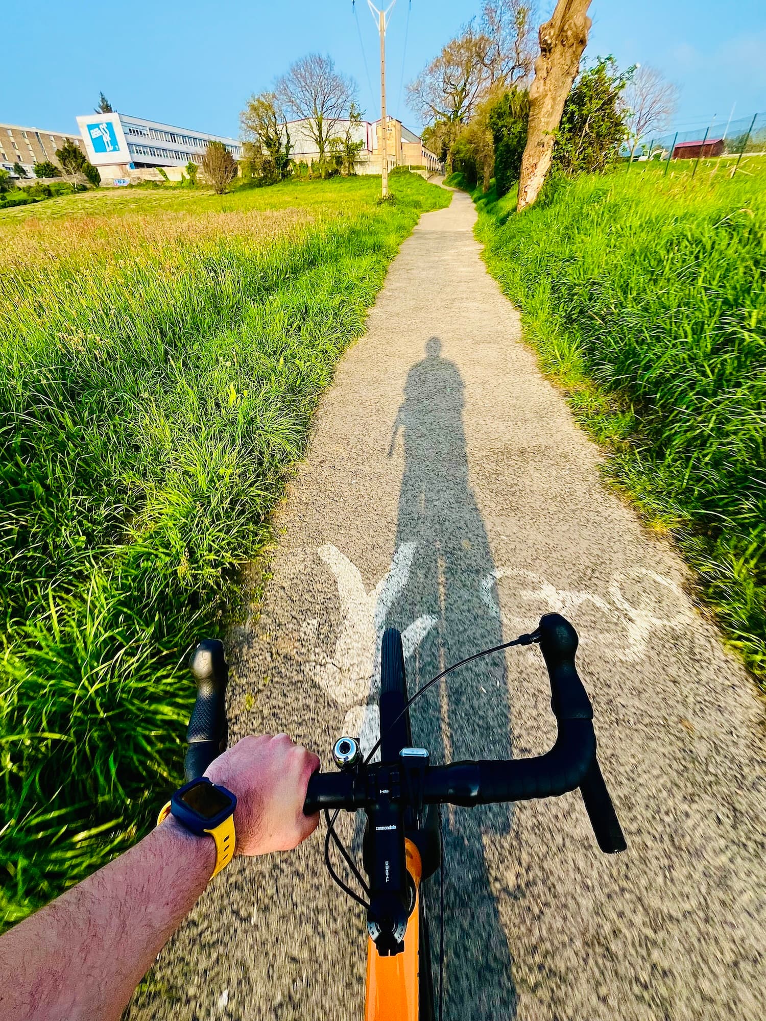 Carril bici. Al fondo se ve mi antiguo colegio