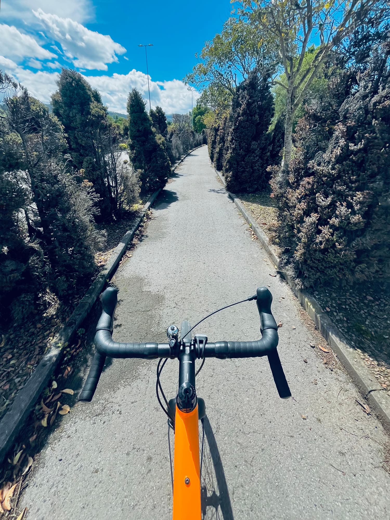 Un carril bici.