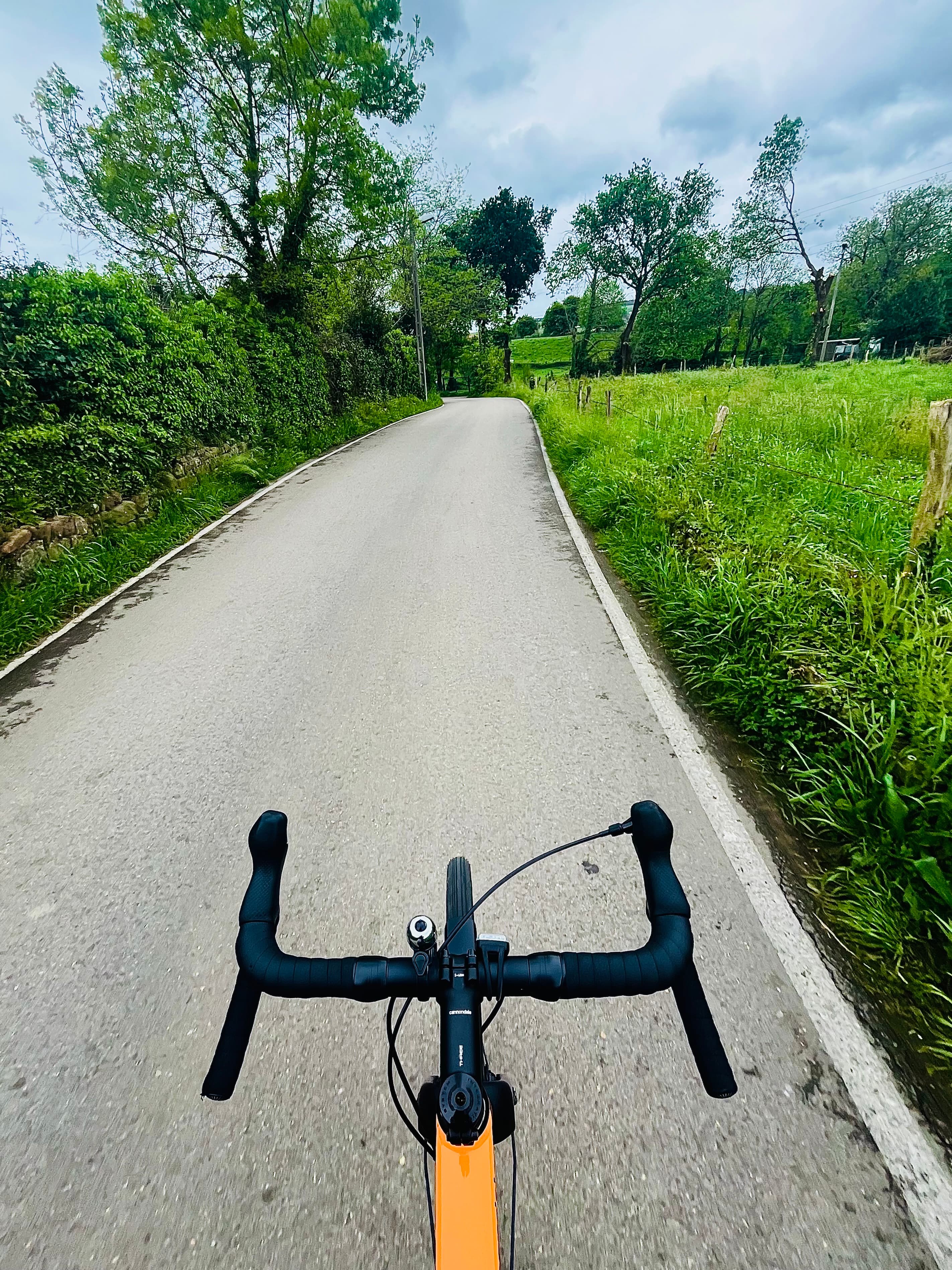 Una carretera secundaria. Hay verde a ambos lados.