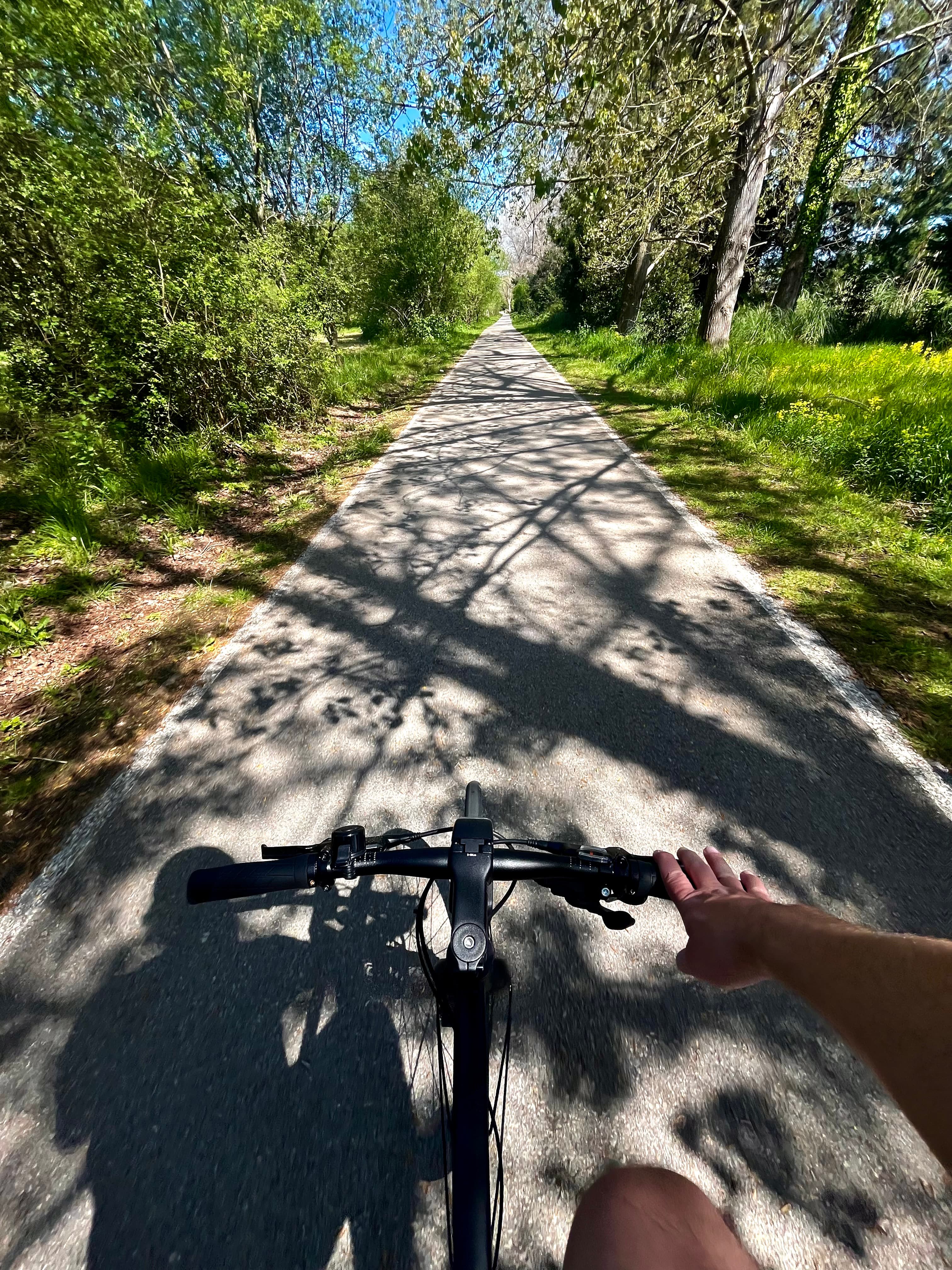 Mi bicicleta por novísimo carril bici