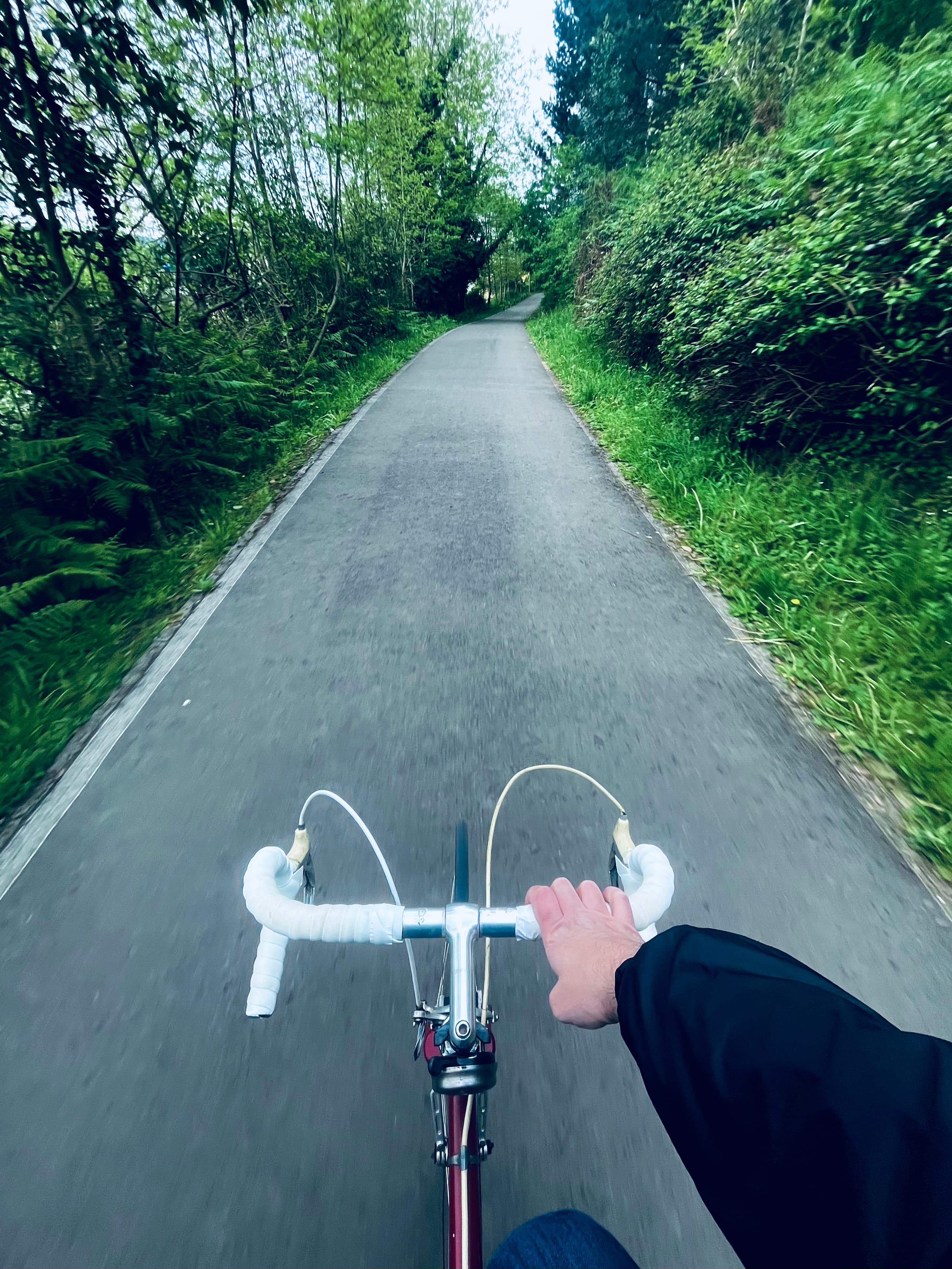 Mi bicicleta por un carril bici, rodeado de árboles.