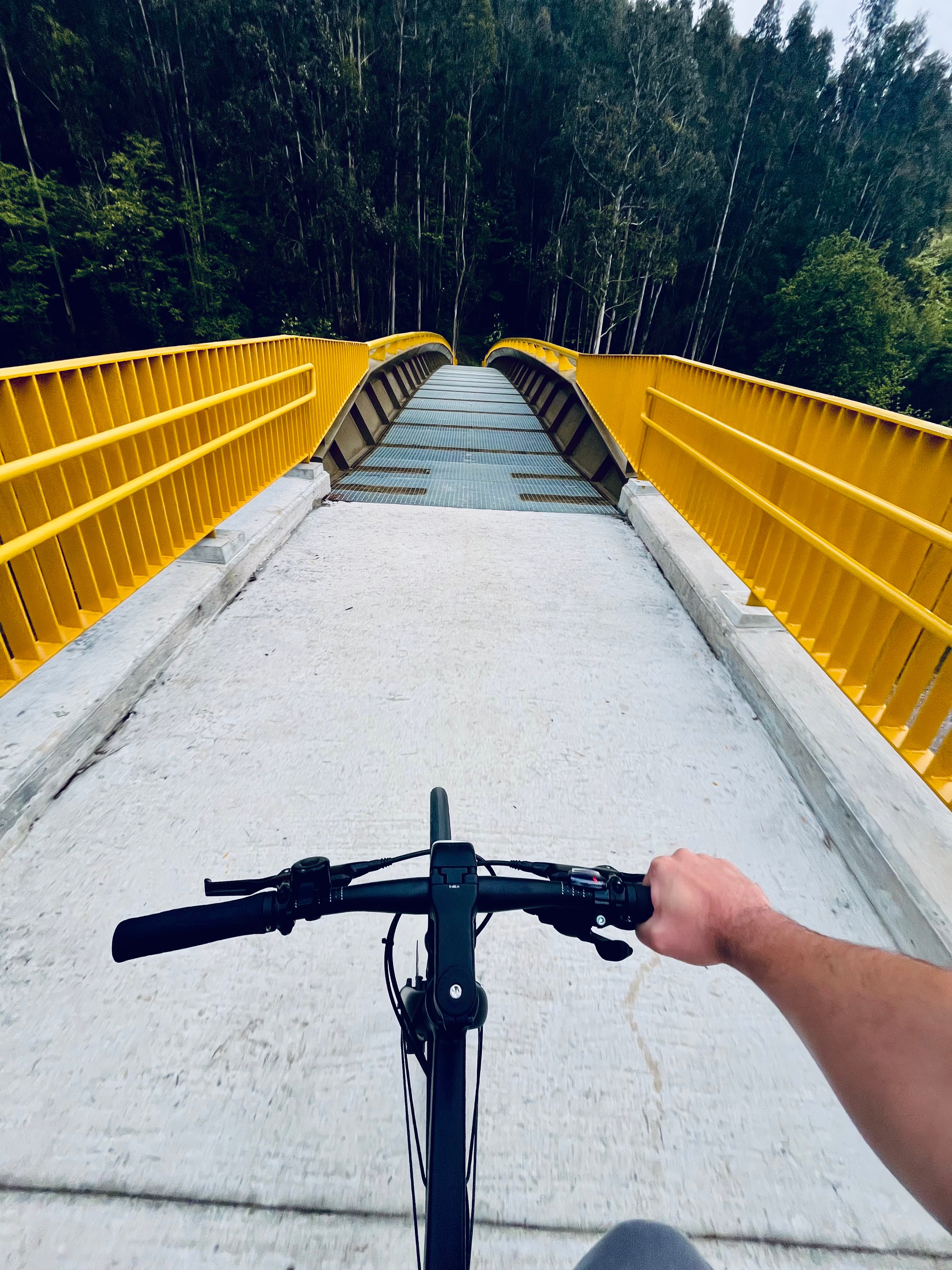 Mi bicicleta sobre un puente.