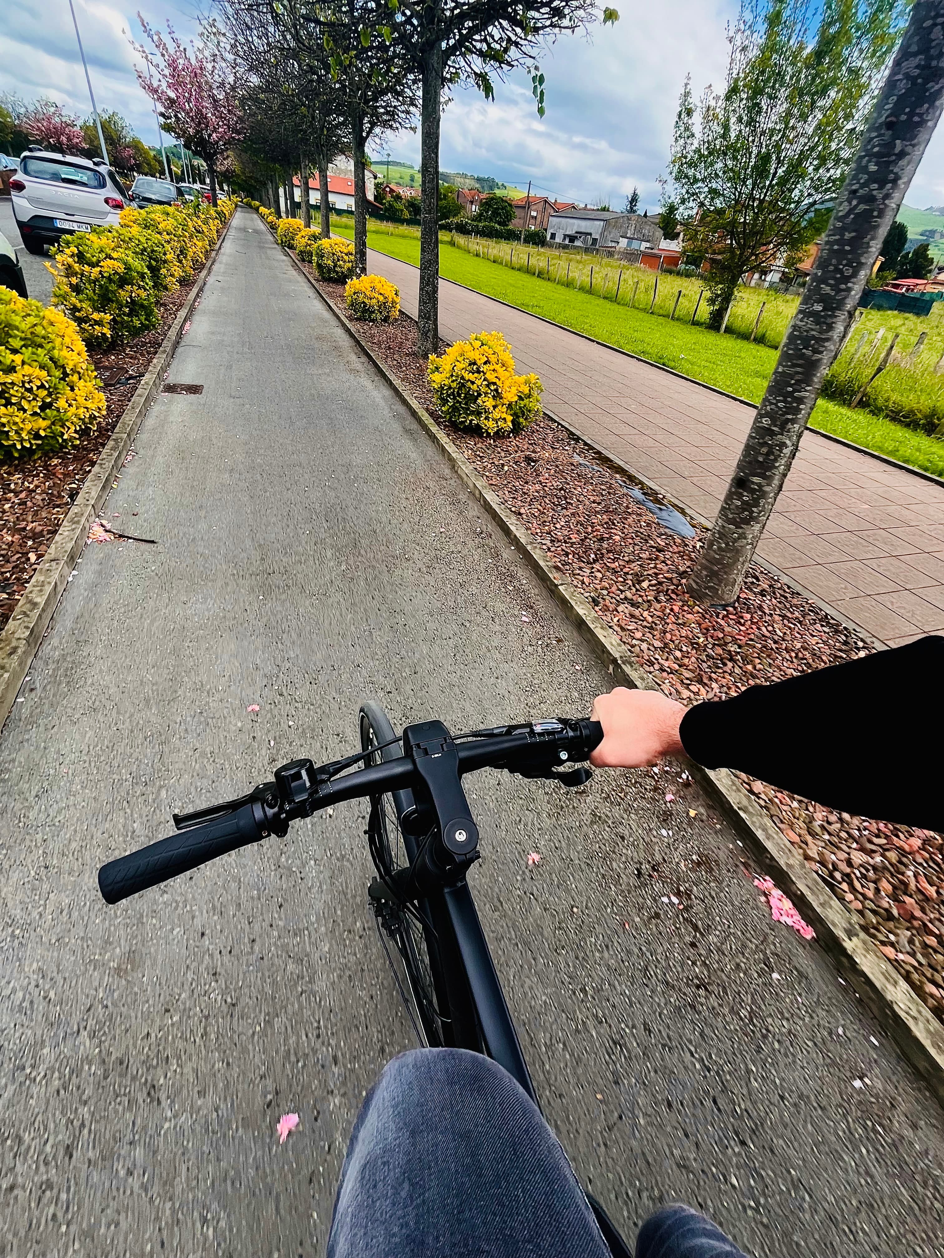 Mi bicicleta en un carril bici.