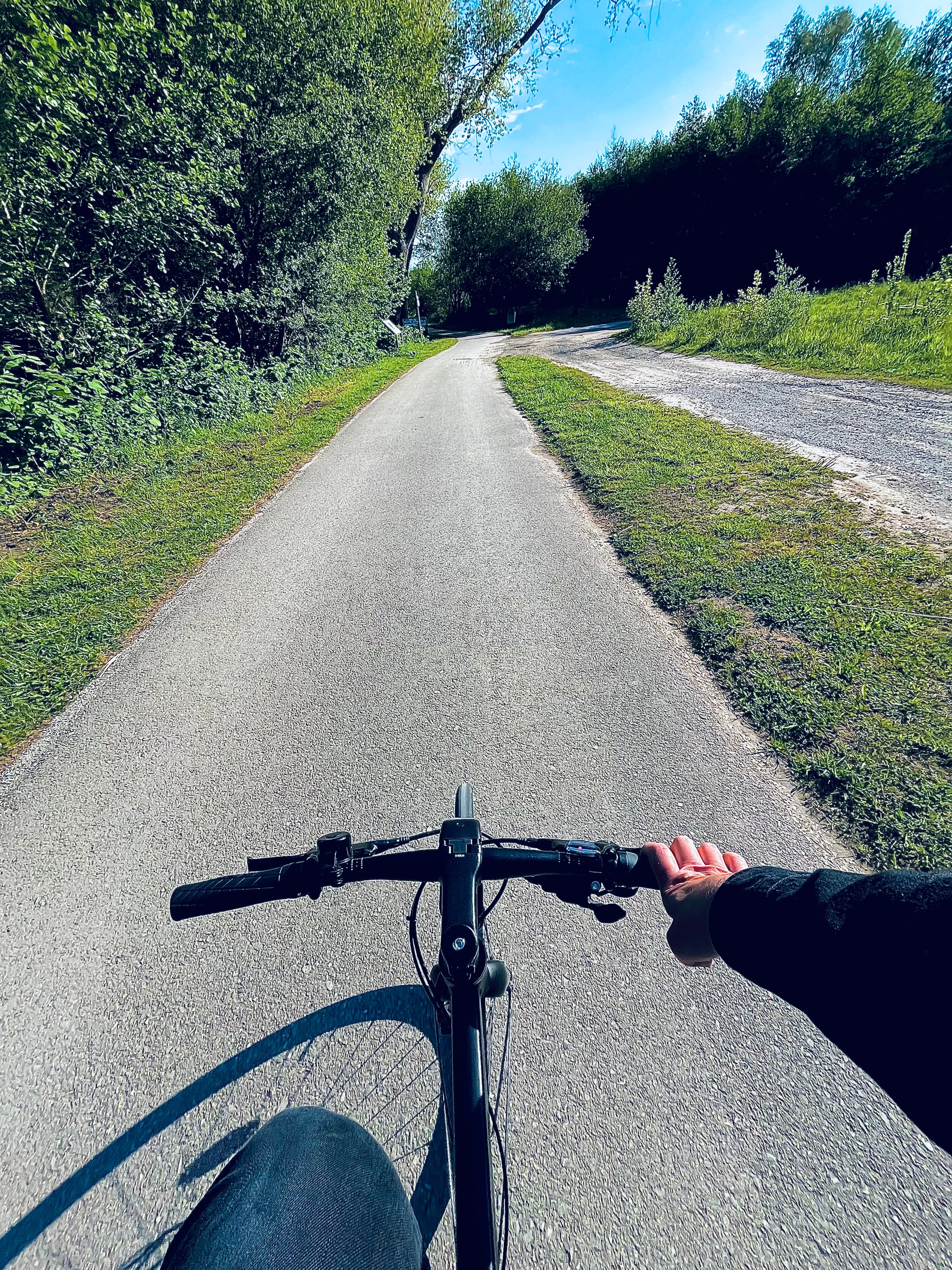 Mi bicicleta en una senda ciclable.