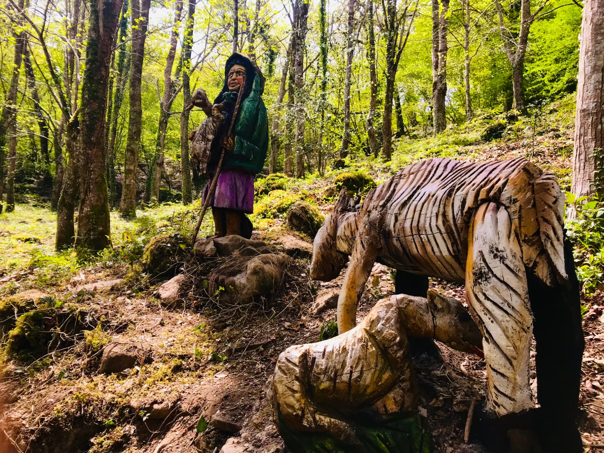 Visita al bosque de la mitología cántabra