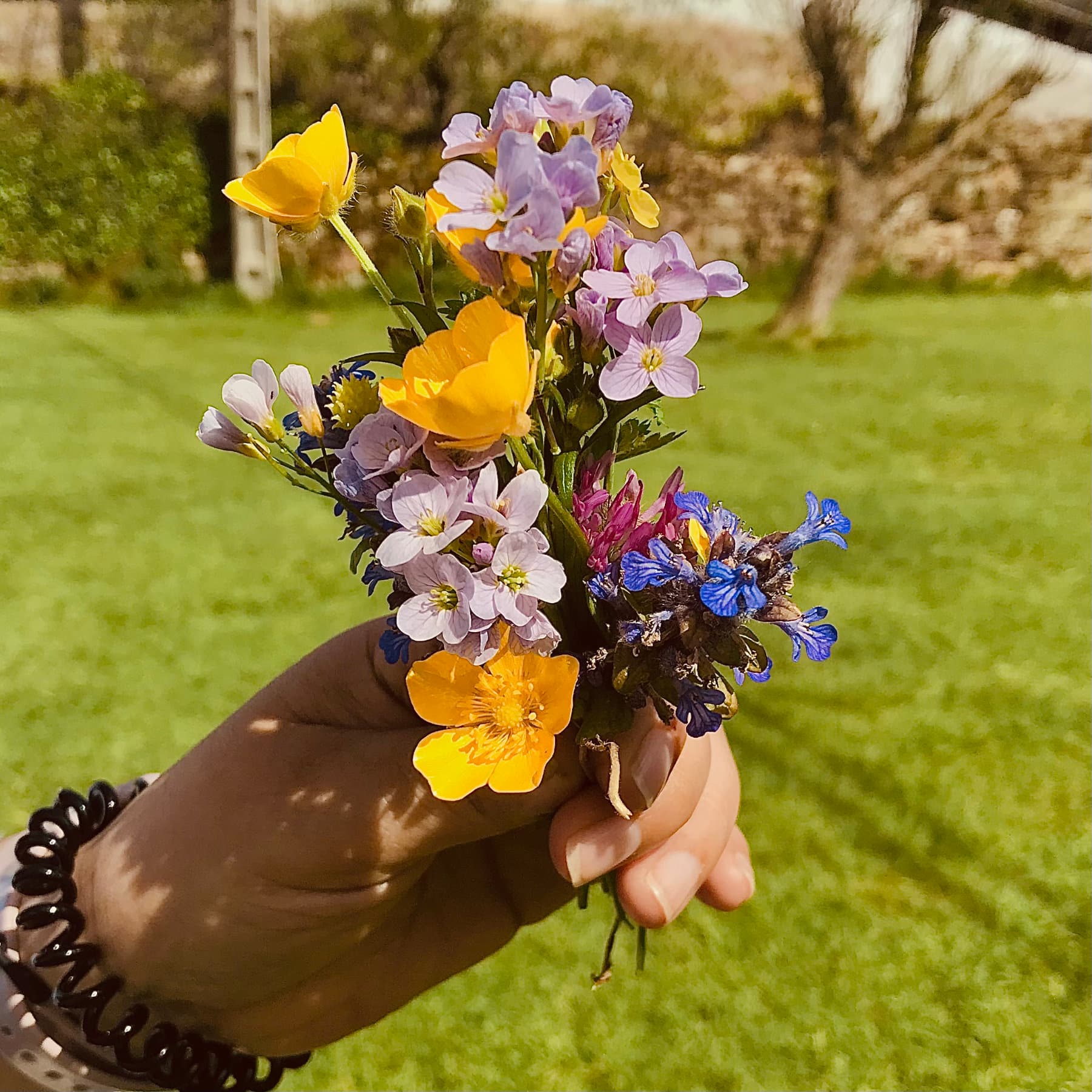 Un ramo de flores silvestres