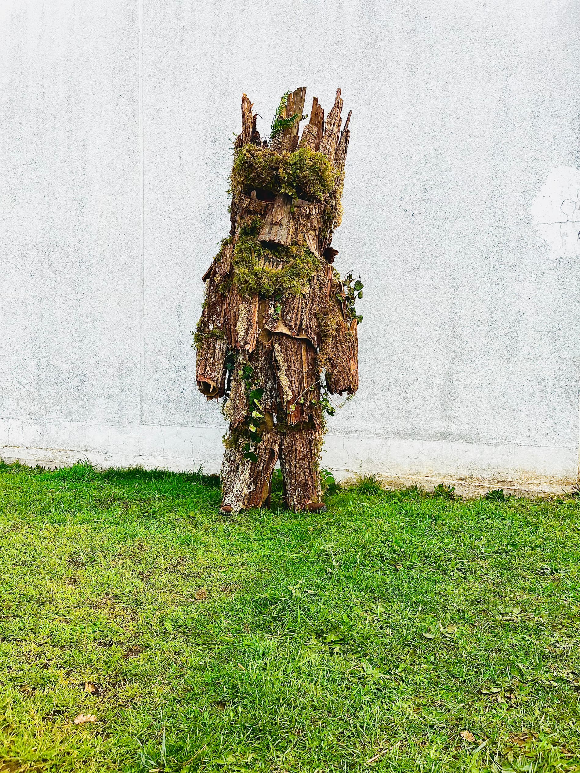 Árbol de La Vijanera