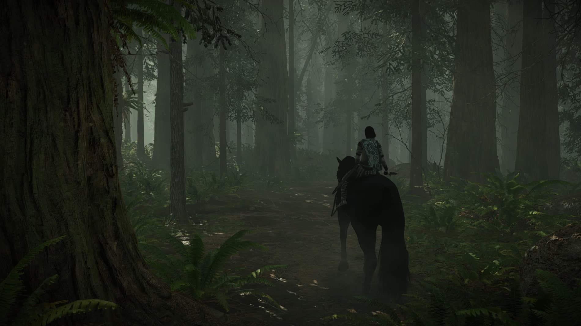 Shadow of the Colossus: dentro de un bosque