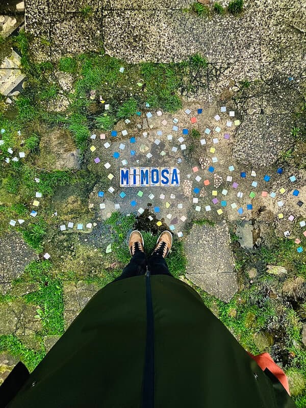 MIMOSA en Espacio Argumosa