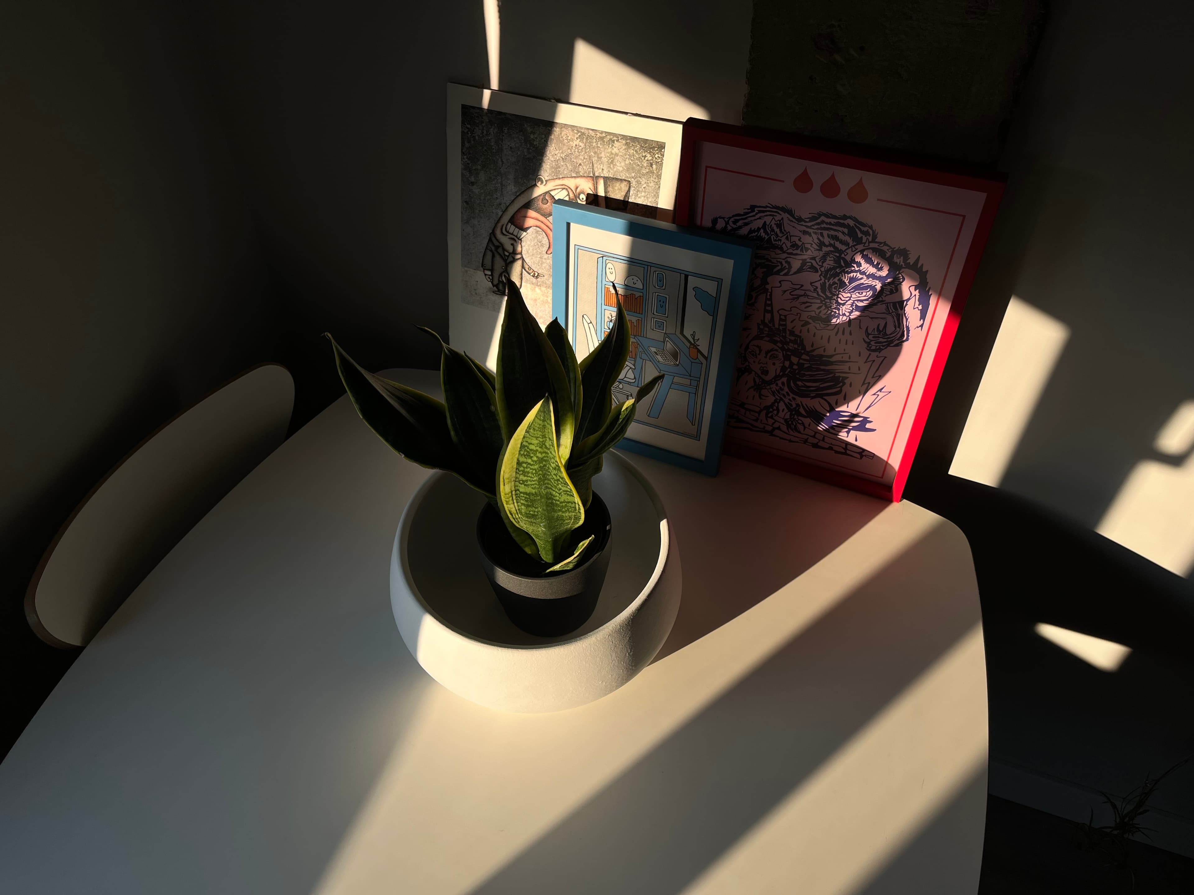 La luz de mi casa
