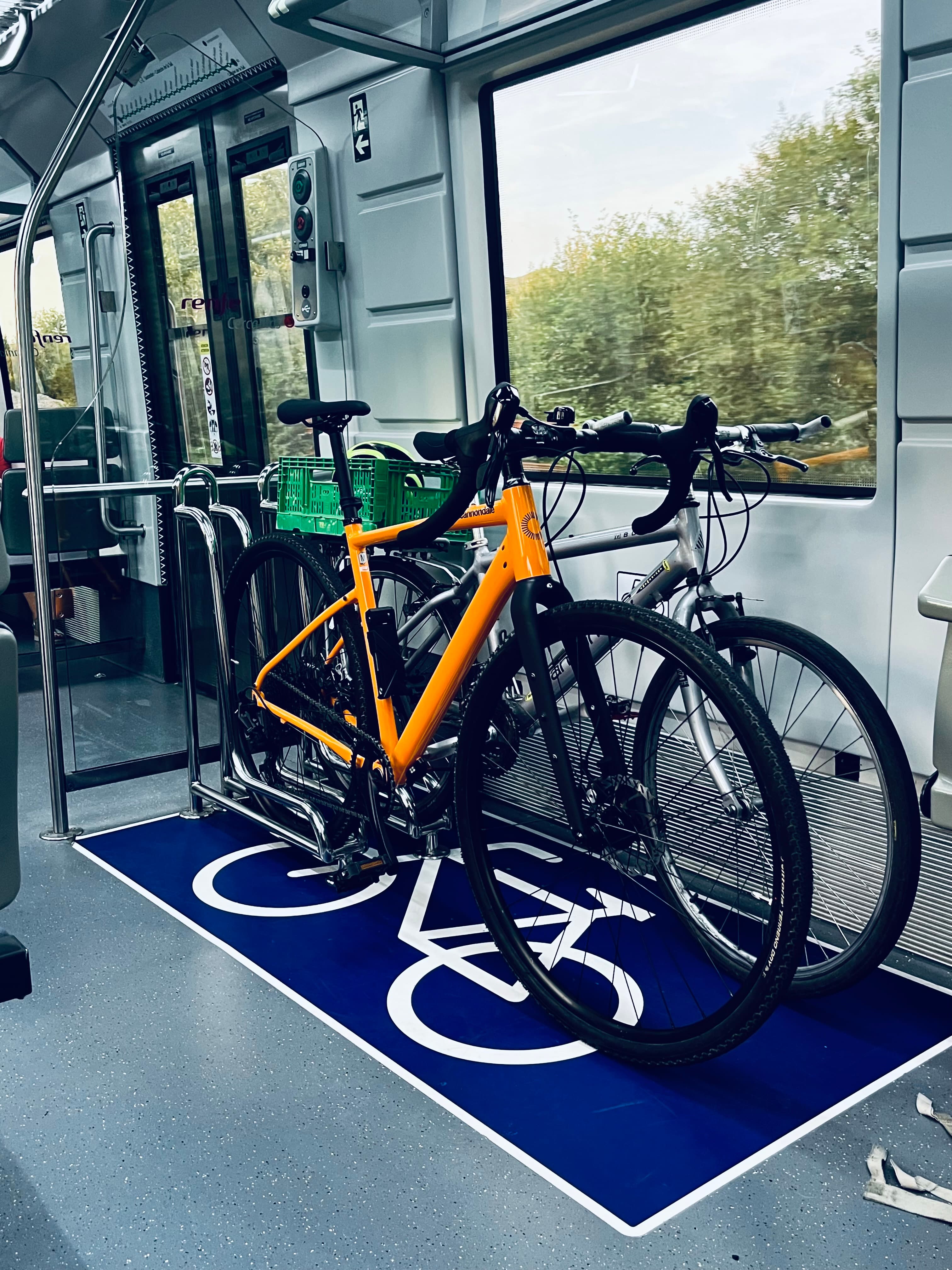 Mi bicicleta en el tren
